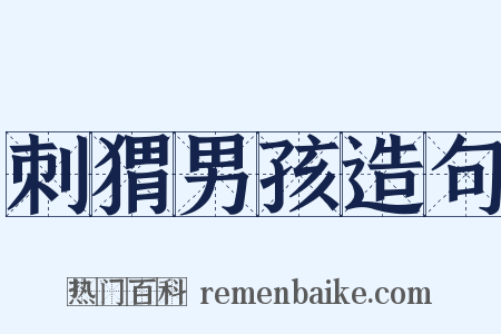 刺猬男孩造句是什么意思的图片